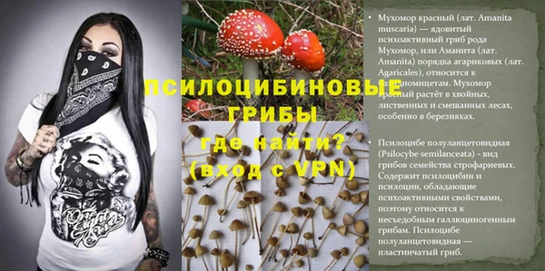 прущий лед Карпинск