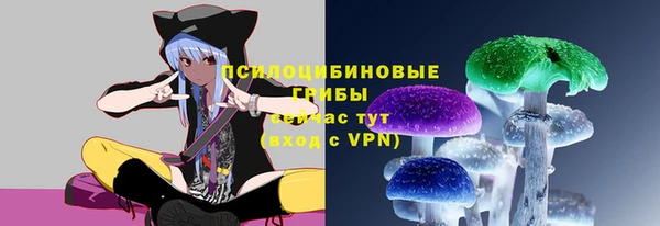 мескалин Касимов